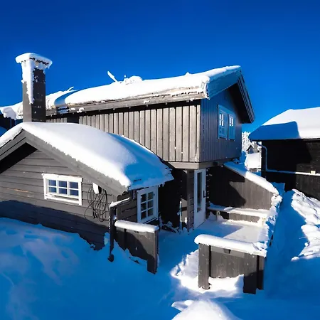 Trysilfjellet Nord 1111b 트리실